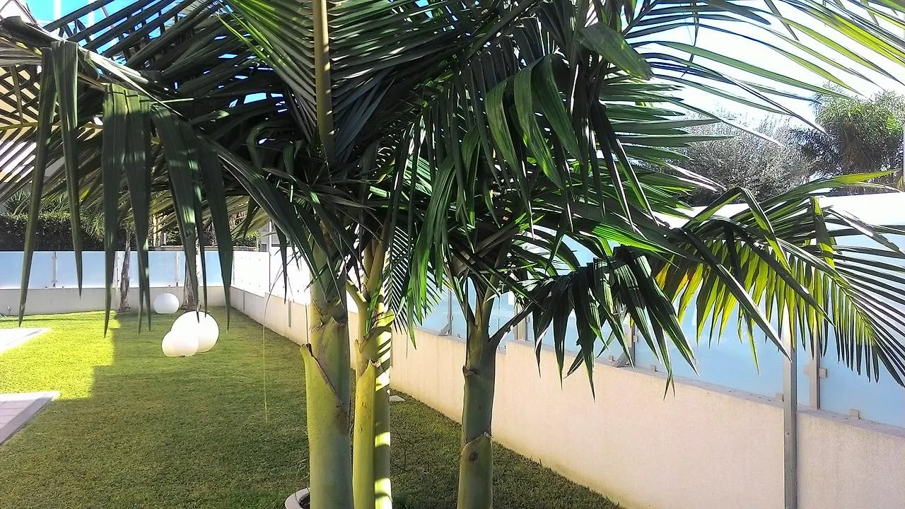 Luxury Apartments Sicily Avola